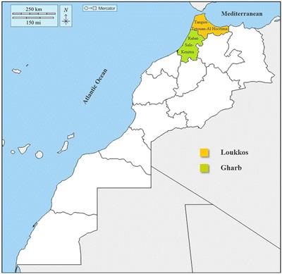 Survey on technical management of strawberries in Morocco and evaluation of their post-harvest microbial load